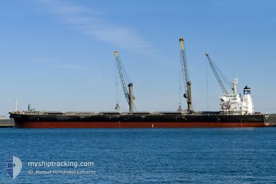 MICHELE D AMATO Bulk Carrier IMO 9287170 MMSI 247218300